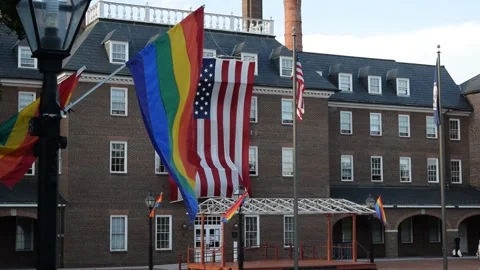 Pride Flag American Flag Video stock 133849523