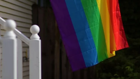 Pride Flag Stock Footage 91329904