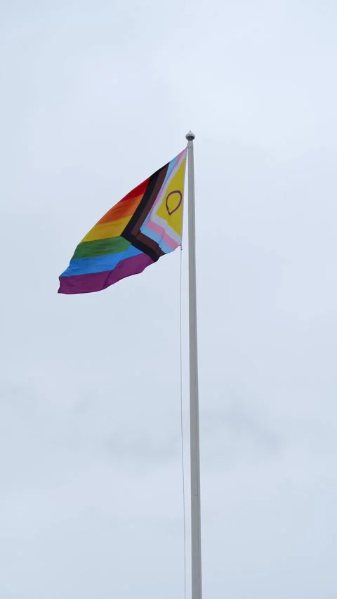 Pride flag in motion against overcast gray sky. Stock Footage 315098343