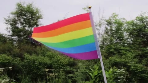 Pride flag pride week diversity.flag blowing in the wind Video stock 155246519