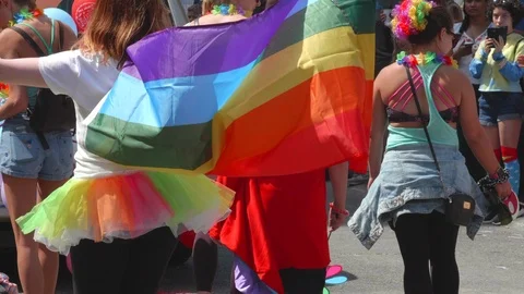 Pride Flag Rainbow Banner Symbol, Colorful Freedom Rights Background Celebration Stock Footage 94430009