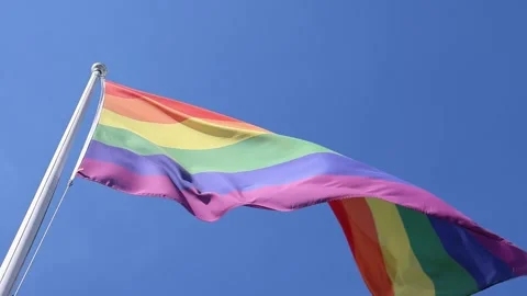 Pride flag rainbow waving in slow motion Stock Footage 344658914