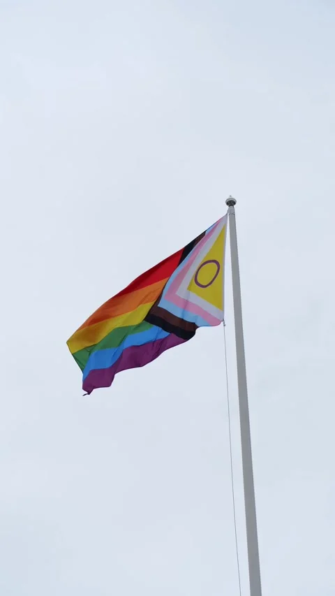 Pride flag vawing in wind against gray sky. Vertical video Stock Footage 314487934
