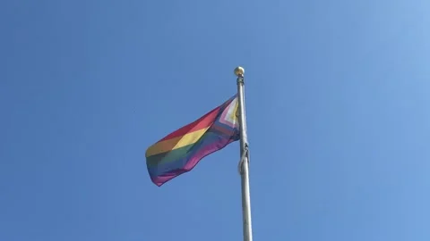 Pride Flag Waving Stock Footage 280879284