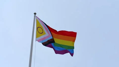 Pride Flag Waving with Grey Sky in Background. Pride Month Concept. Stock Footage 313603968