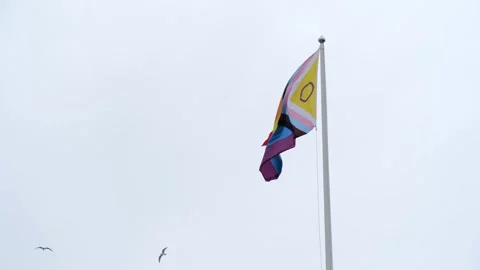 Pride Flag Waving on Pole, Grey Overcast Sky Background. Stock Footage 311097721