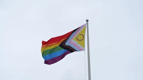 Pride flag waving in a wind during daytime Stock Footage 310320740