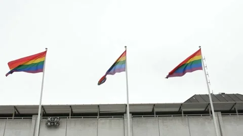 Pride flags against cloudy sky Stock-Footage 199409012