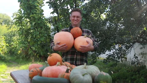 Pride in the harvest Stock Footage 139062208