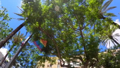 Pride LGBT rainbow flags waving in slow motion. Stock Footage 133159354