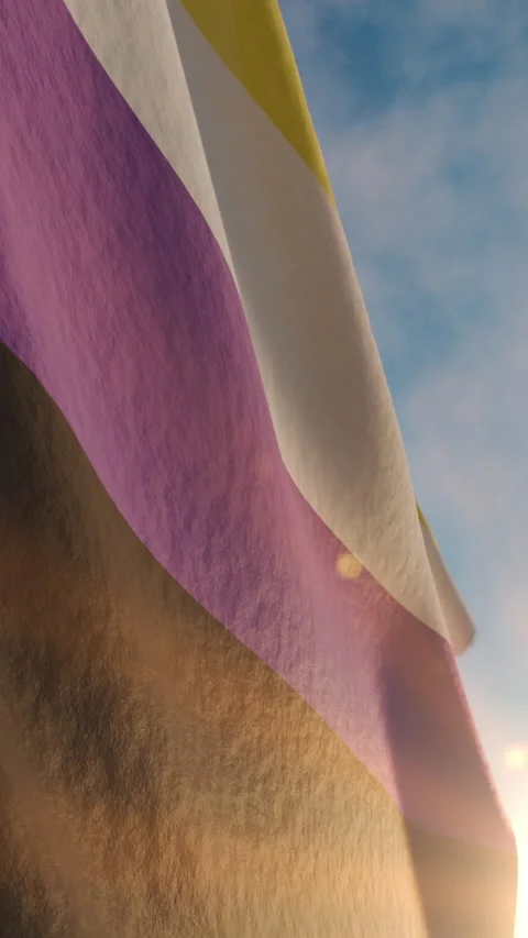 Pride month non binary flag waving at sunset Stock Footage 336199124