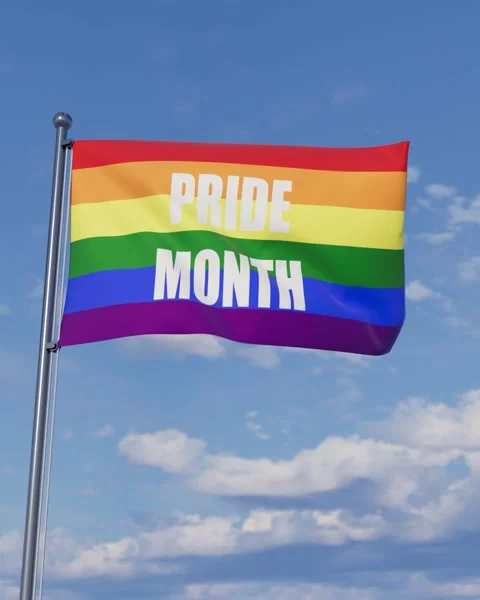 Pride month text banner 库存影片 331536791