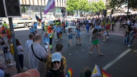 Pride parade, progress pride, asexual pride, flags banners, fans and bubbles Stock Footage 335829236