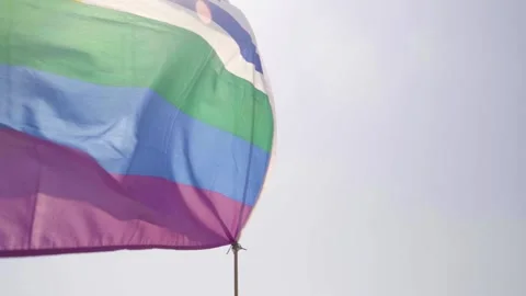 Pride Rainbow Flag waving in wind with David Shield Israel blue sign. Low angle Video stock 144927270