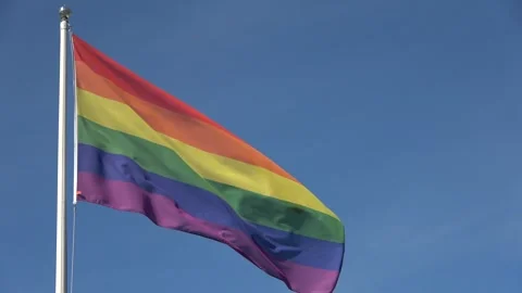 Pride rainbow flag waving in the wind Stock Footage 342866719