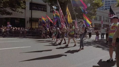 Pride Scouts 1 Stock Footage 114520808