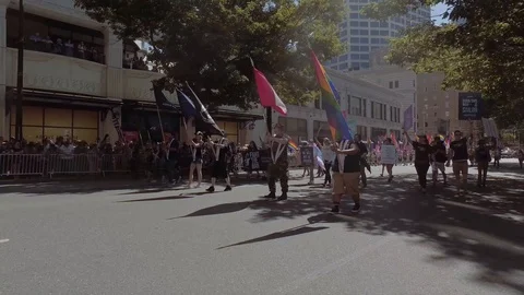 Pride Veterans 1 Stock Footage 114520861