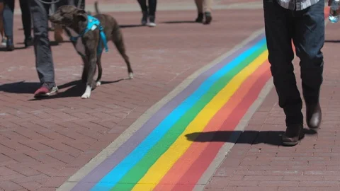 Pride Week Rainbow Painted Crosswalk - Equality, Diversity Justice #3 Stock Footage 108559521