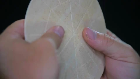 Priest Breaking Eucharist Cavanah Alter Bread Communion Stock Footage 307123358