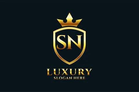 Priinitial SN elegant luxury monogram logo or badge template with scrolls a.. Stock Illustration