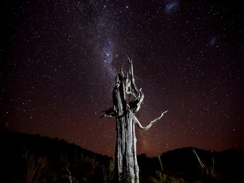 Primal Earth Images The Star Gate Keeper 4K Stock Stock Footage 76984691