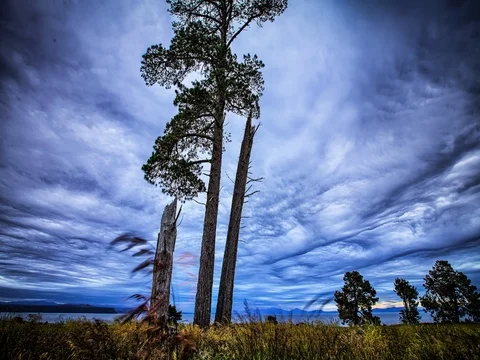 Primal Earth Images Wave Cloud 2 4k Stock Stock Footage 76983712