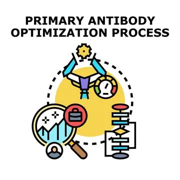 Primary antibody optimization process vector illustration Stock Illustration