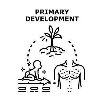 Primary development stages showing growth and maturation Stock Illustration