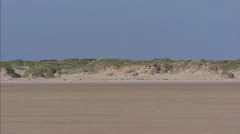 Primary dunes, view from sandy beach Stock Footage 24468992