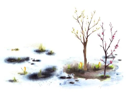 Primary flowers, blossoming spring tree, melting snow Hand drawn watercolor Stock Illustration