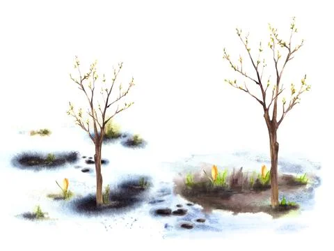 Primary flowers, blossoming spring tree, melting snow Hand drawn watercolor Stock Illustration