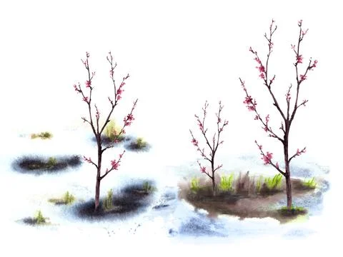 Primary flowers, blossoming spring trees, melting snow Hand drawn watercolor Stock Illustration