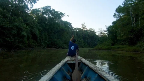 Primary jungle in Perú: Sailing during sunrise in the river Stock Footage 115099678