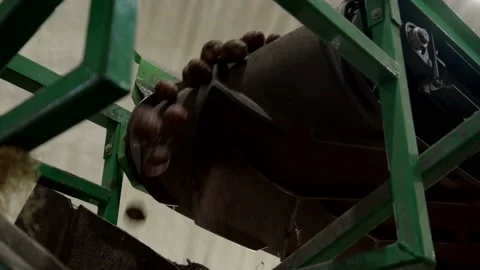 Primary processing of dirty red potatoes at sorting plant. close up view of Stock Footage 226377778