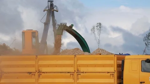 Primary processing of wood Stock Footage 83877390