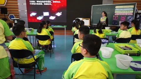 Primary pupils attend a lecture about tie-dye. Stock-Footage 53177280