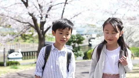Primary school boy walking under cherry tree Stock-Footage 159726221