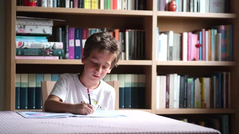 Primary school child studying at home during distance learning Stock Footage 166211902