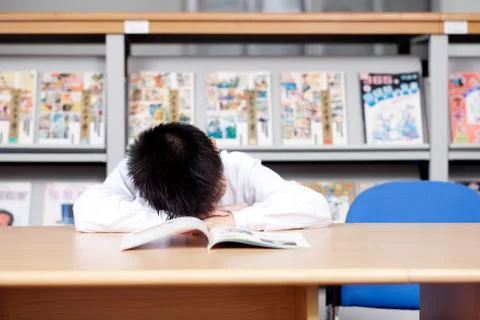 A primary school student is studying in a picture gallery Stock Photos