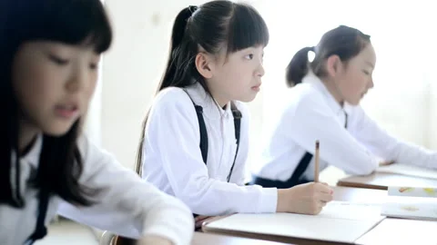 Primary school students in the classroom Stock Footage 161895657