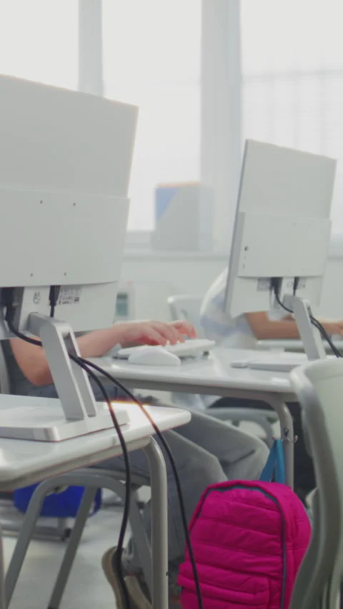 Primary School Students Working on Computers. Teacher Guiding Diverse Kids in Stock Footage 317166313