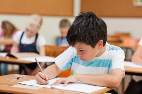 Primary student focused on exercise book Stock Photos