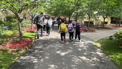 Primary Students Field Trip Activity at Chinese Public Park 4k Video stock 334940232