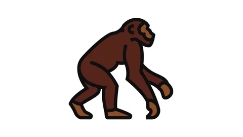 Primate ancestors human evolution color icon animation Stock Footage 326097290