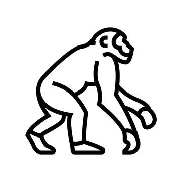 Primate ancestors human evolution line icon vector illustration 스톡 일러스트