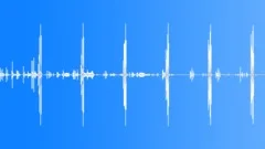 Primate, silverback gorilla, huffing and aggressive breathing v2Sound Effect