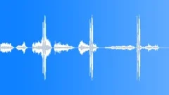 Primate, silverback gorilla, throaty growls and groans v4 Sound Effect
