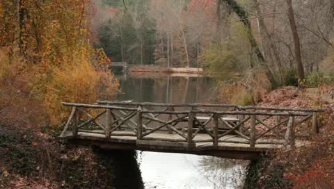 Primative wooden bridge Stock Footage 11240785