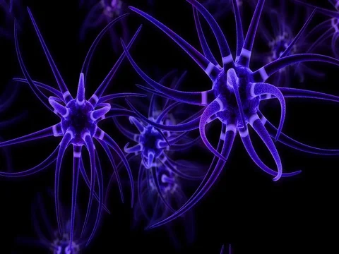 Prime Cause of Synaptic and Neuronal Degeneration Stock Footage 77416171