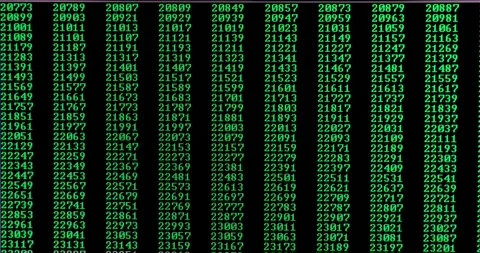 PRime numbers scrolling on computer screen Stock Footage 241426026